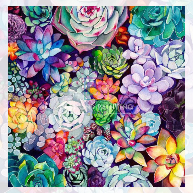 Bunte Sukkulenten