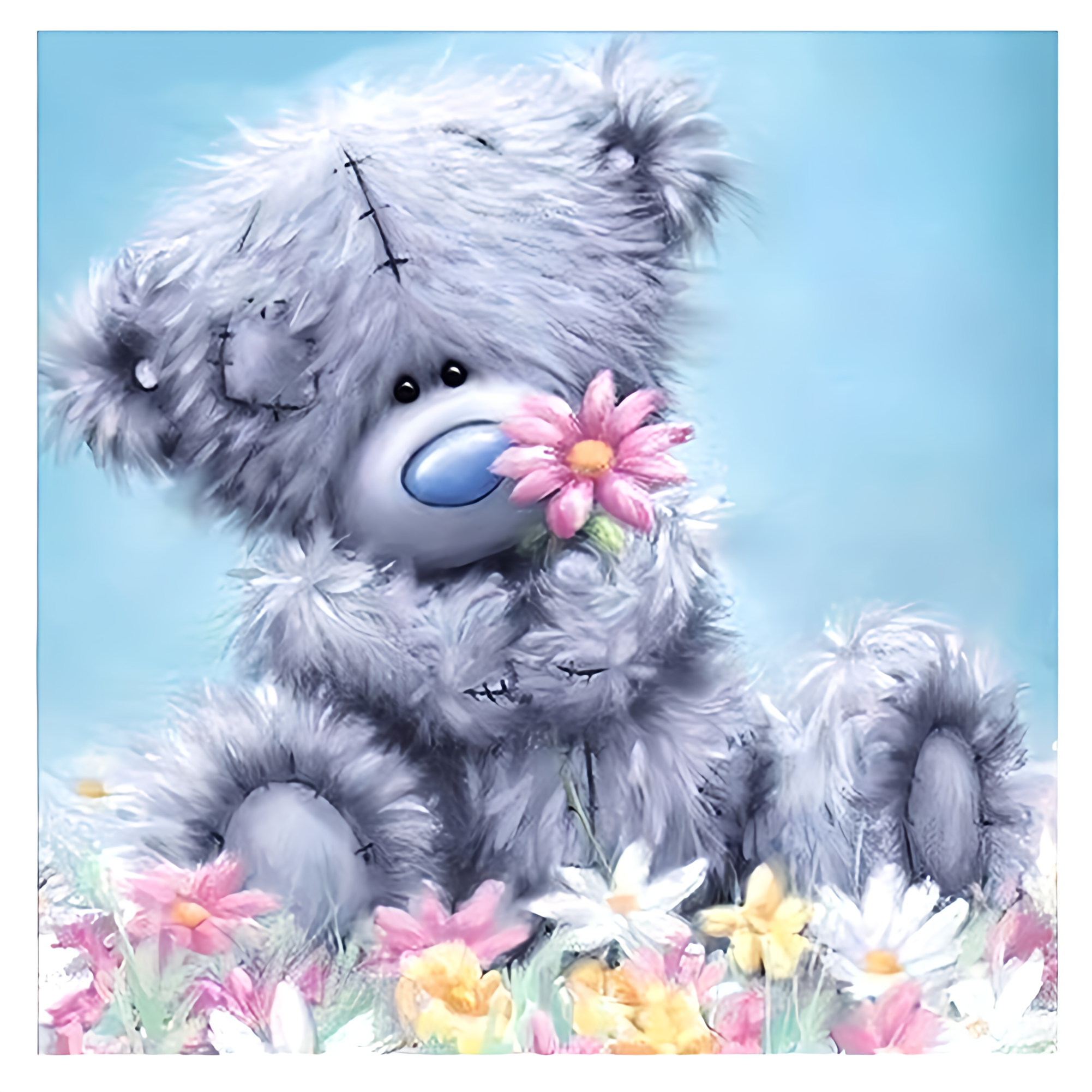 Teddy im Blumenfeld