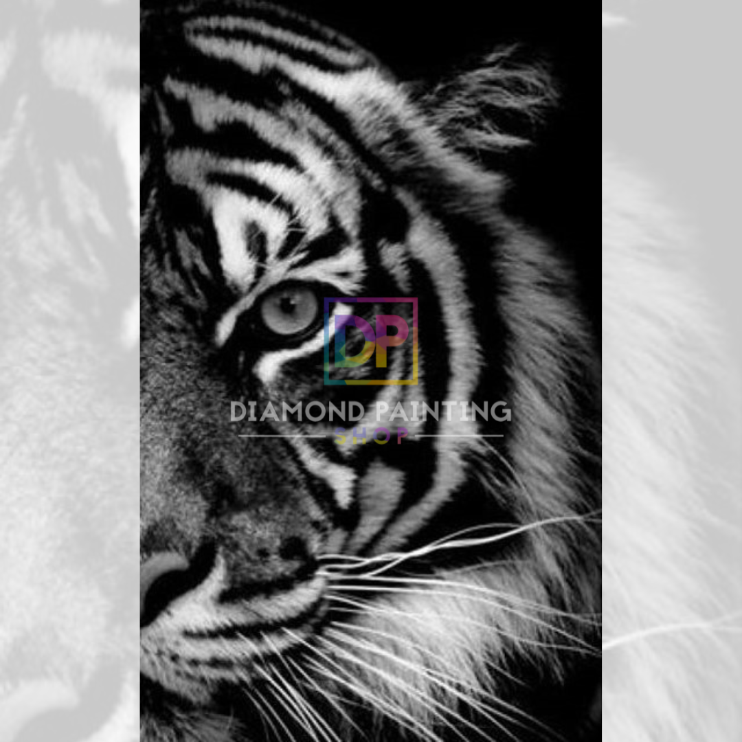 Die wilde Kraft: Tiger im Fokus