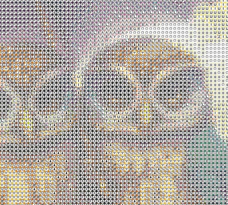 Rainy day with Owls