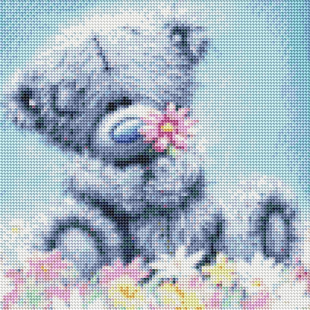 Teddy im Blumenfeld
