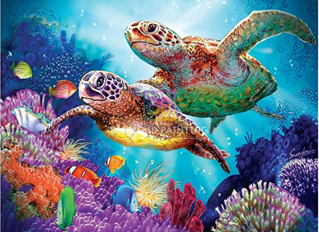 Ozean Schildkröten mit AB Steine