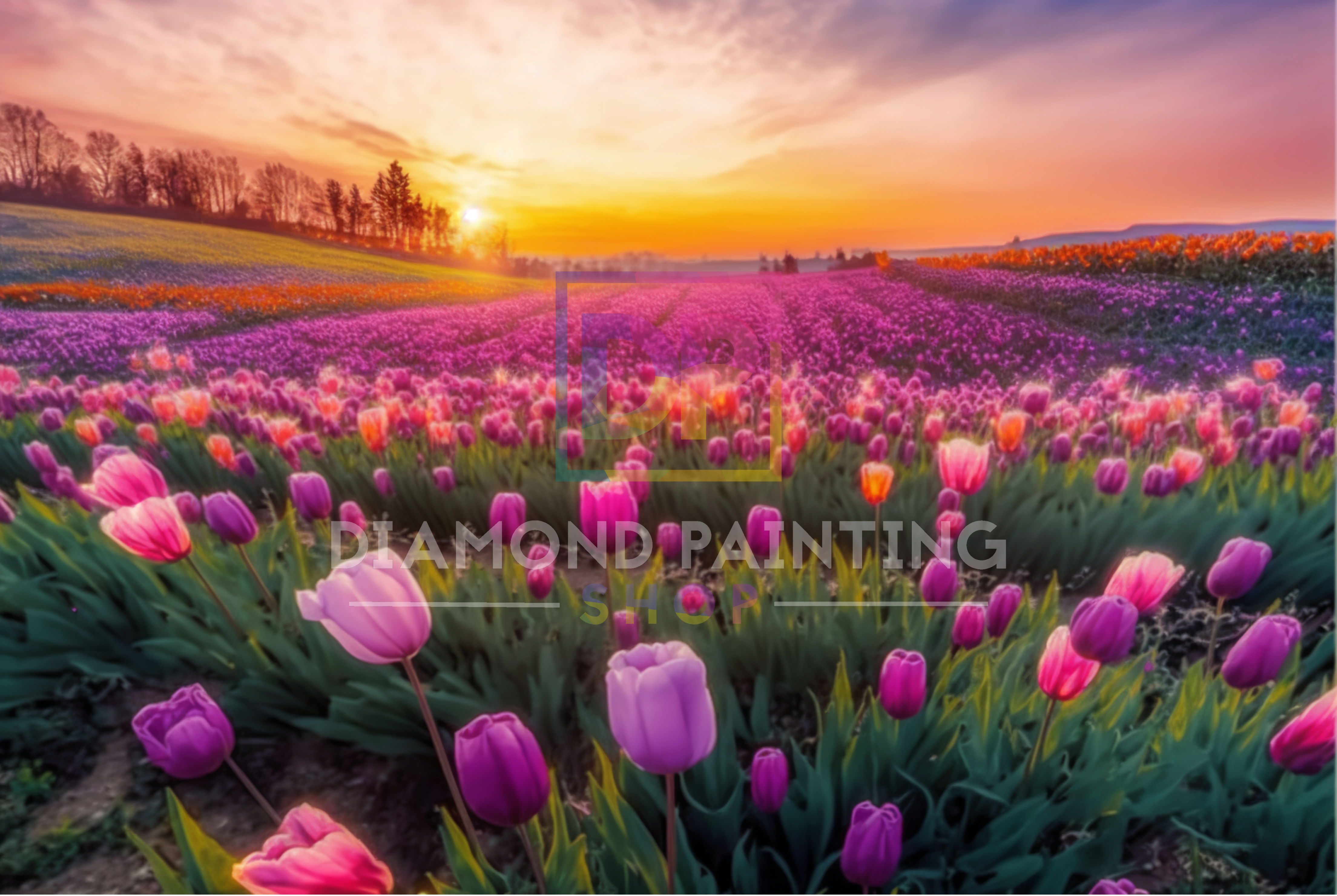 XXL Frühling im Tulpenfeld